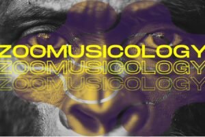 Zoomusicology: Exploring the Intersection of Animal Sounds and Music